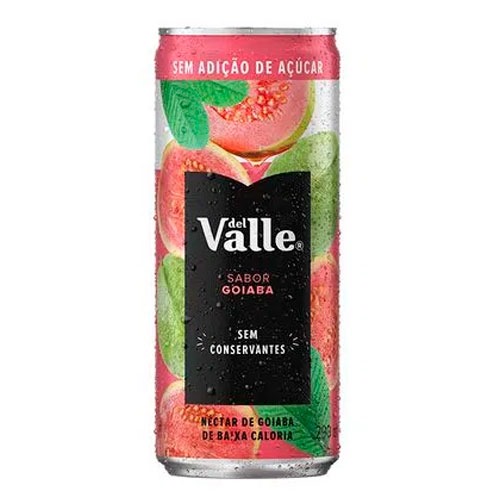 DEL VALLE GOIABA 290 ML C/6 BEBIDAS