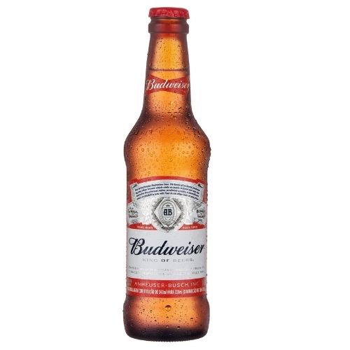 BUDWEISER LONG NECK 330ML PCT C/06 BEBIDAS